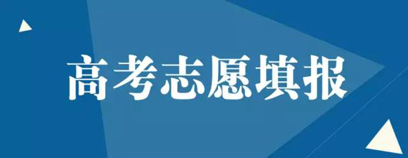 教育软件开发：连接未来的学习之路