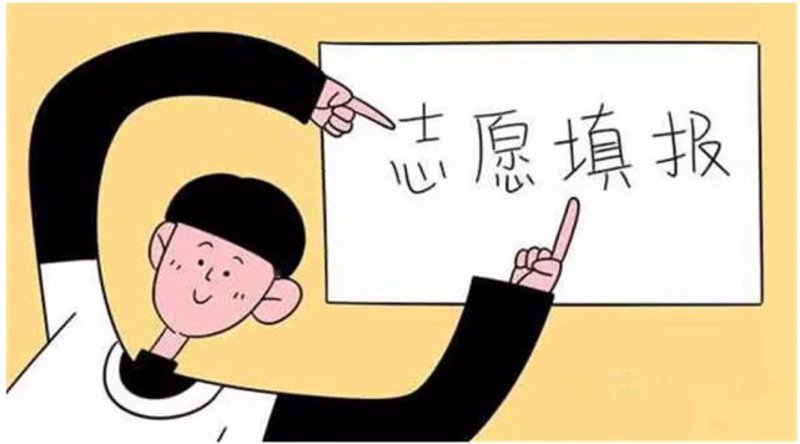 志愿填报